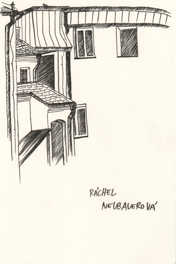 Ráchel Neubauerová, 3. ročník